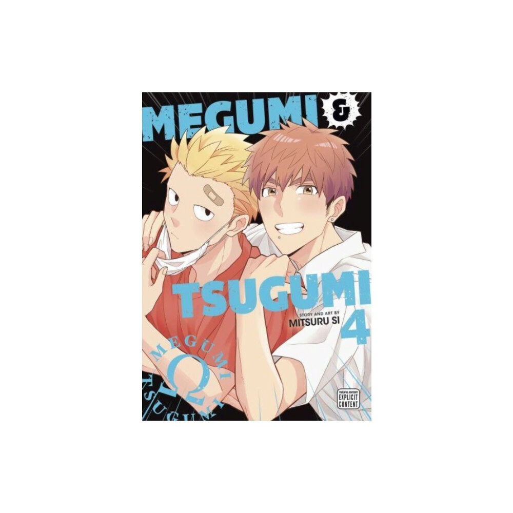 Viz Media, Subs. of Shogakukan Inc Megumi & Tsugumi, Vol. 4 (häftad, eng)