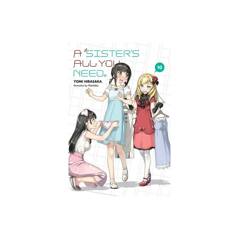 Little, Brown & Company A Sister's All You Need., Vol. 10 (light novel) (häftad, eng)