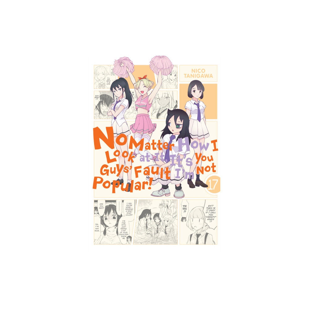 Little, Brown & Company No Matter How I Look at It, It's You Guys' Fault I'm Not Popular!, Vol. 17 (häftad, eng)