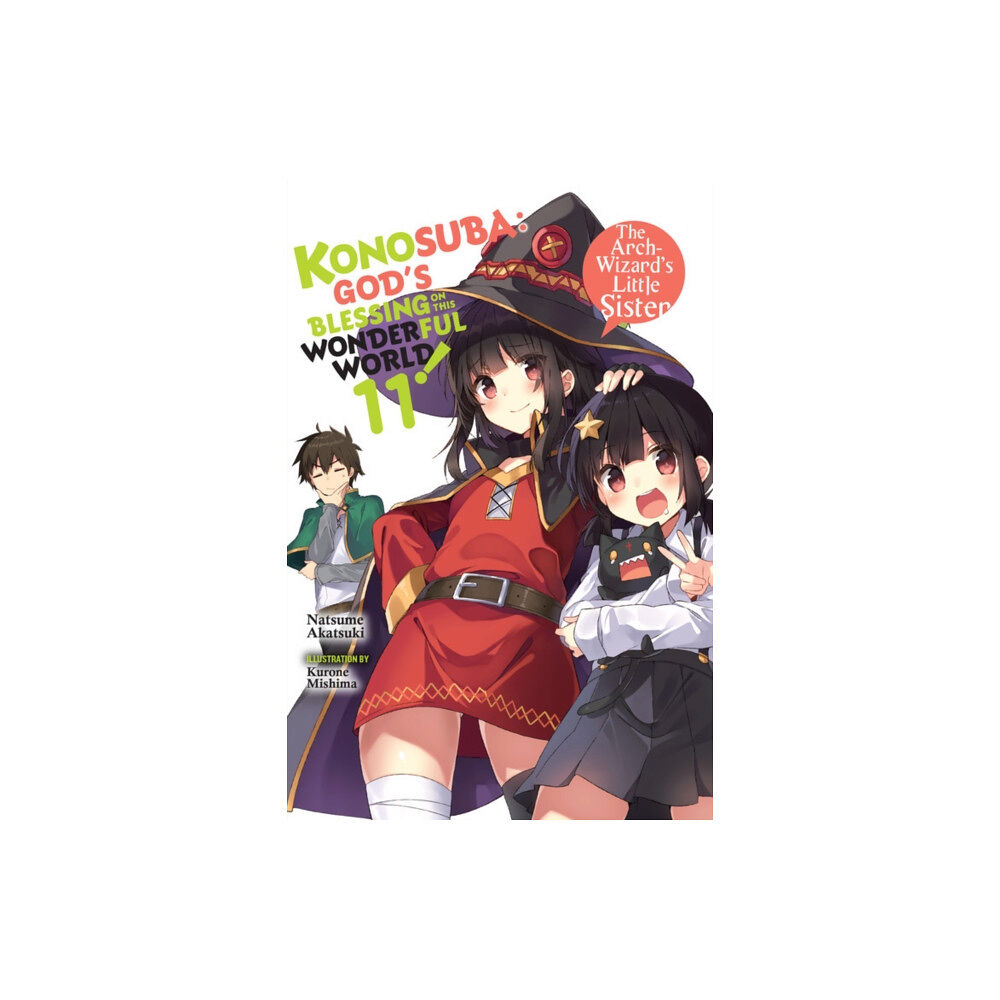 Little, Brown & Company Konosuba: God's Blessing on This Wonderful World!, Vol. 11 (light novel) (häftad, eng)