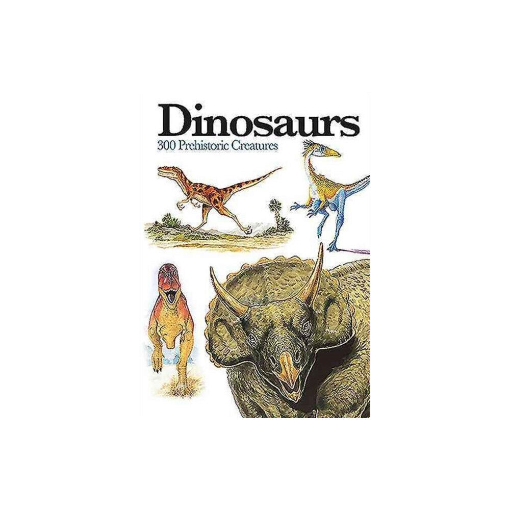 Amber Books Ltd Dinosaurs (häftad, eng)