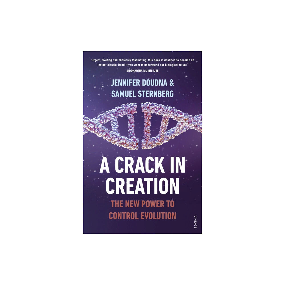 Vintage Publishing A Crack in Creation (häftad, eng)