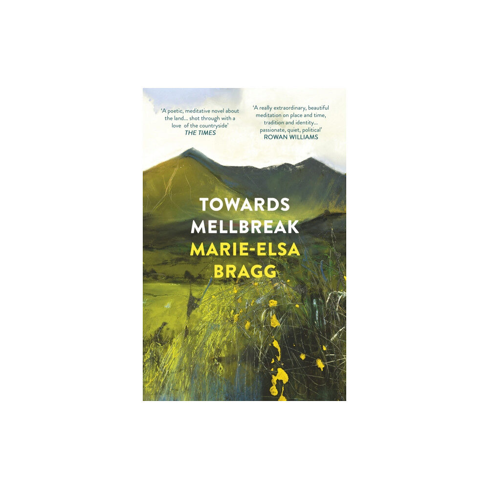 Vintage Publishing Towards Mellbreak (häftad, eng)