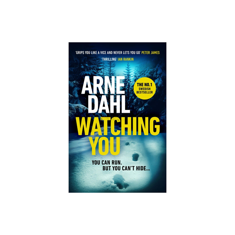 Vintage Publishing Watching You (häftad, eng)