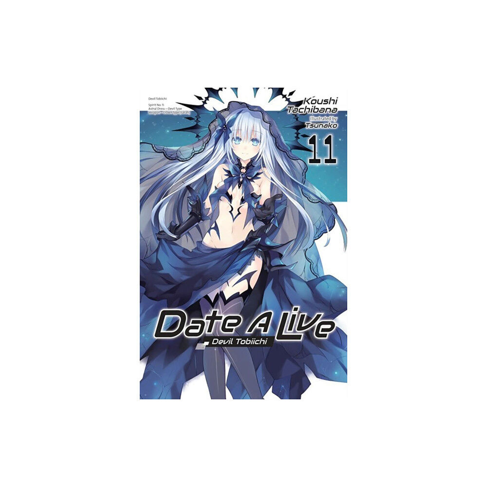 Little, Brown & Company Date A Live, Vol. 11 (light novel) (häftad, eng)