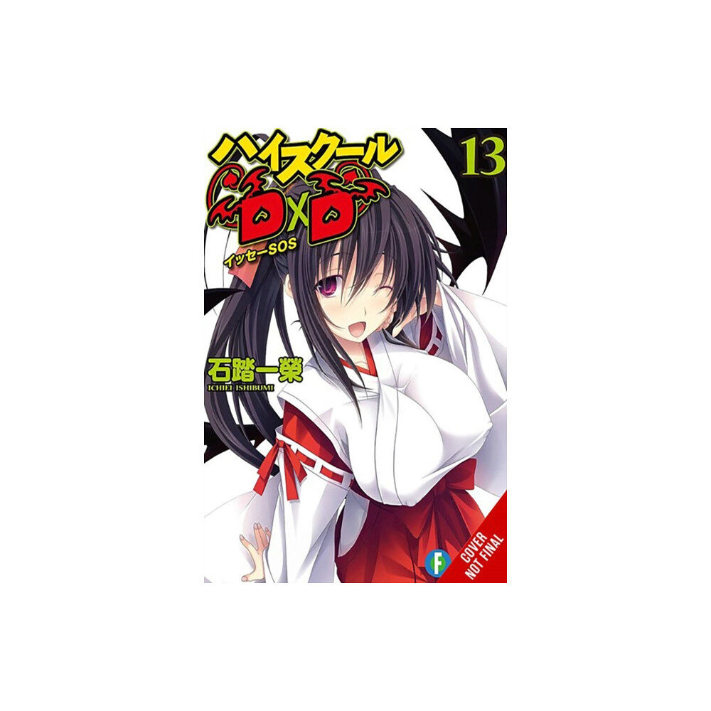 Little, Brown & Company High School DxD, Vol. 13 (light novel) (häftad, eng)