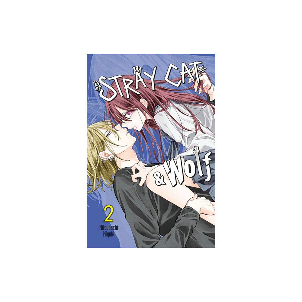 Little, Brown & Company Stray Cat & Wolf, Vol. 2 (häftad, eng)