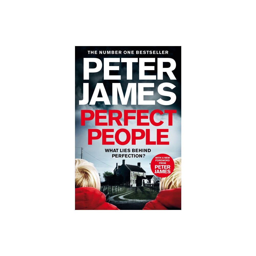 Pan Macmillan Perfect People (häftad, eng)