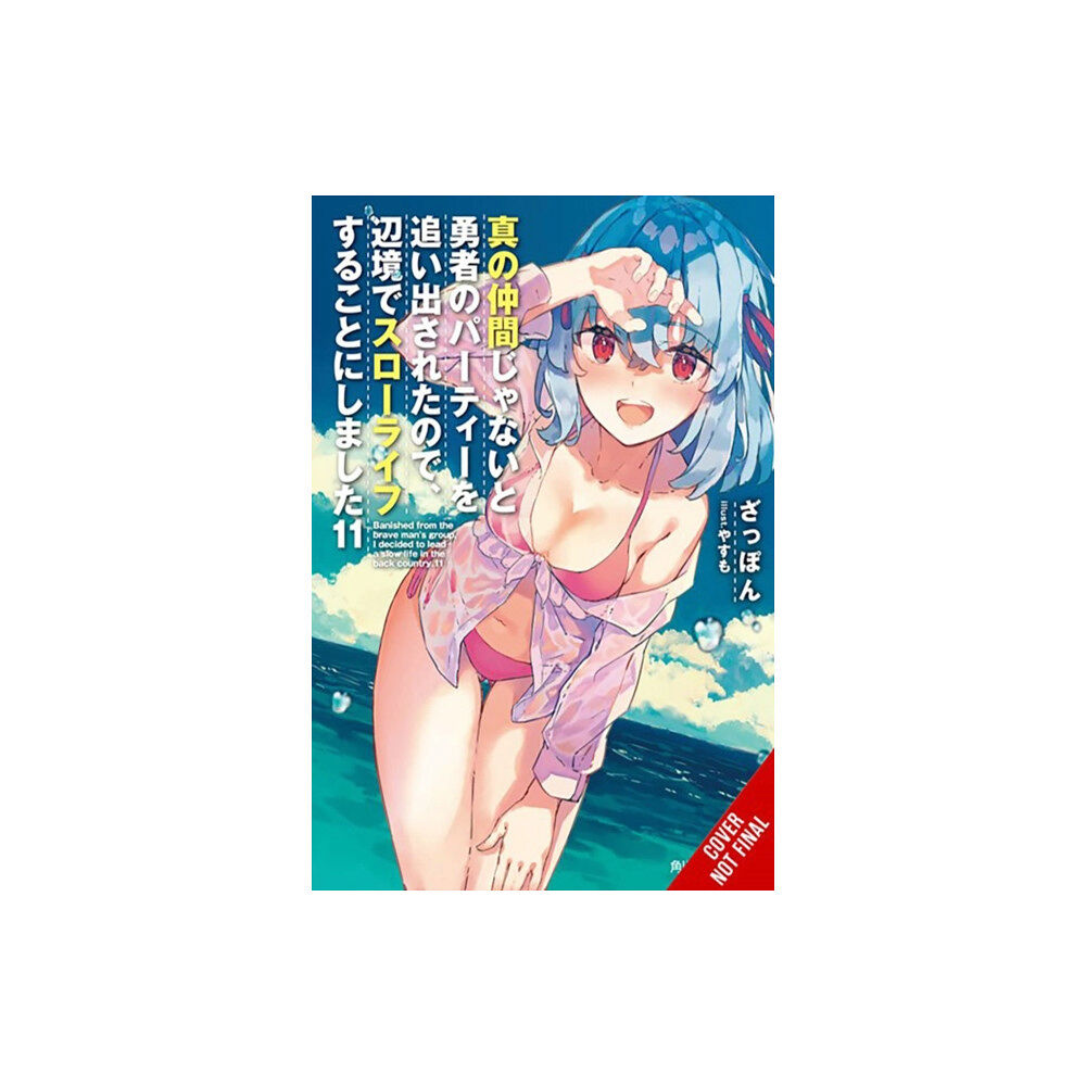 Little, Brown & Company Banished from the Hero's Party, I Decided to Live a Quiet Life in the Countryside, Vol. 11 (light no (häftad, eng)