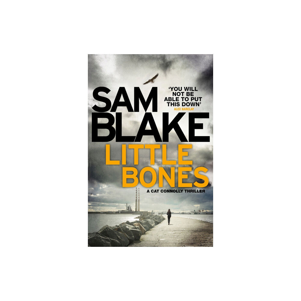 twenty7 Little Bones (häftad, eng)