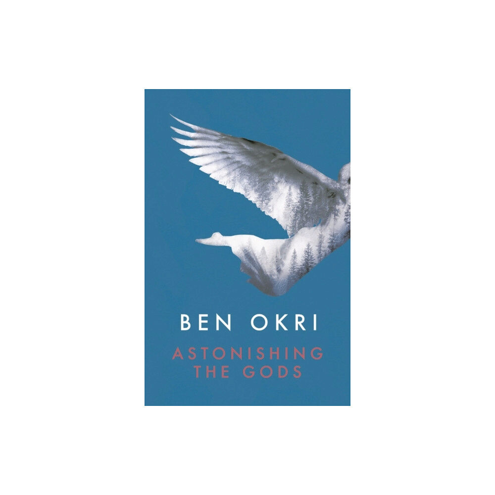 Bloomsbury Publishing PLC Astonishing the Gods (häftad, eng)
