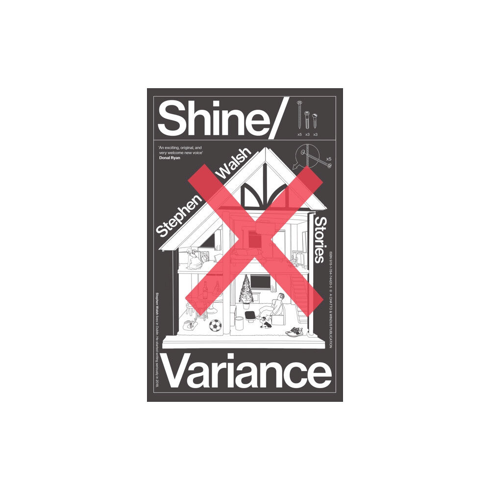 Vintage Publishing Shine/Variance (häftad, eng)