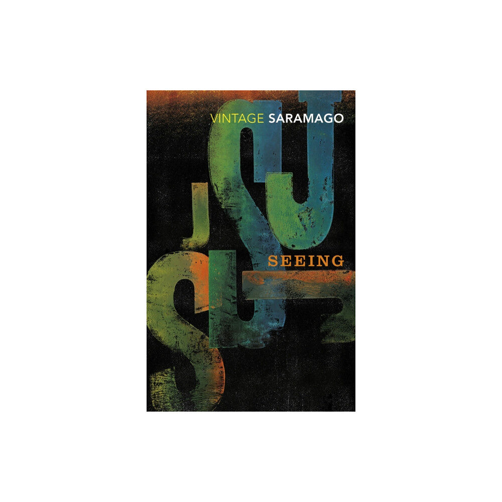 Vintage Publishing Seeing (häftad, eng)