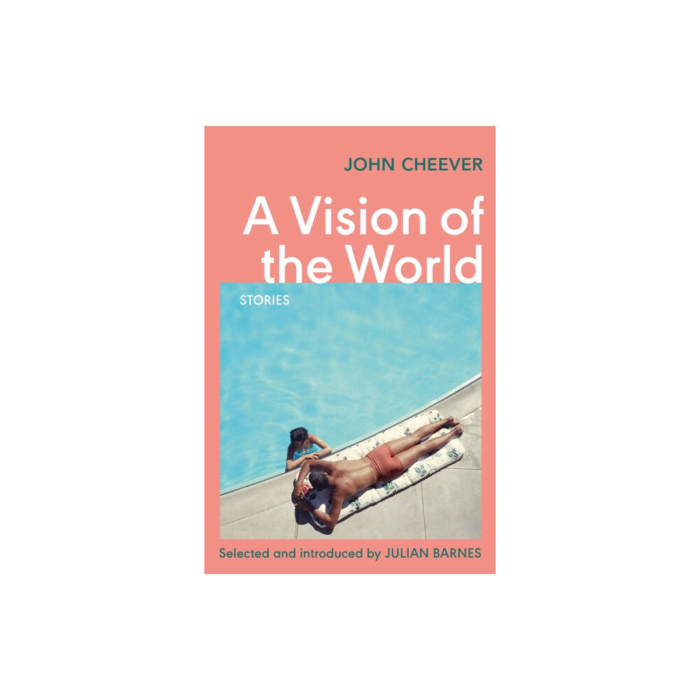 Vintage Publishing A Vision of the World (häftad, eng)