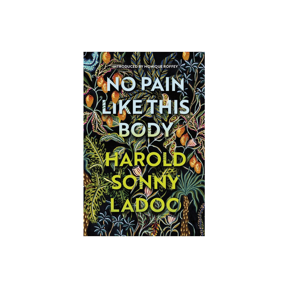 Vintage Publishing No Pain Like This Body (häftad, eng)