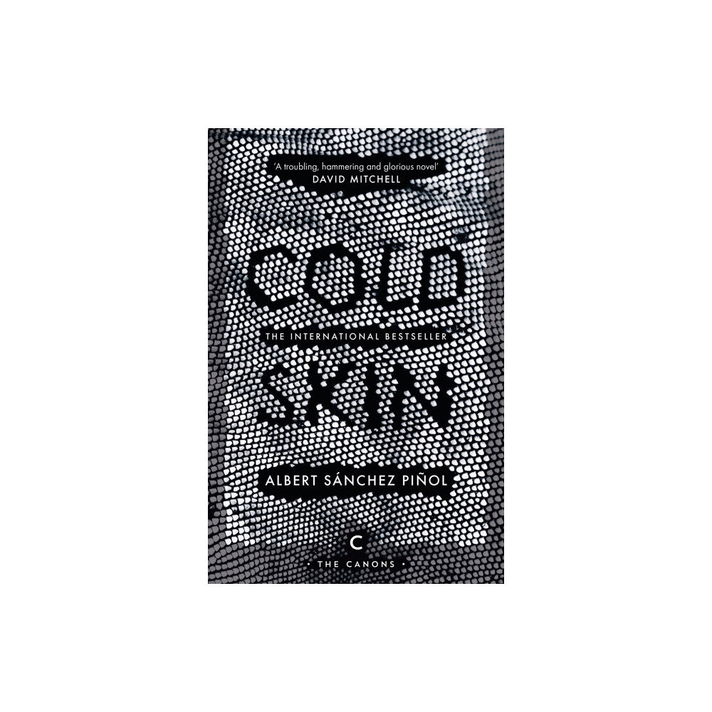 Canongate Books Cold Skin (häftad, eng)