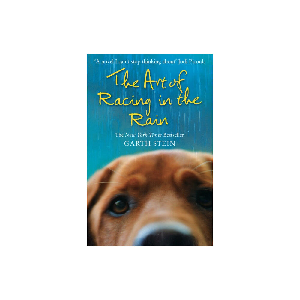 HarperCollins Publishers The Art of Racing in the Rain (häftad, eng)
