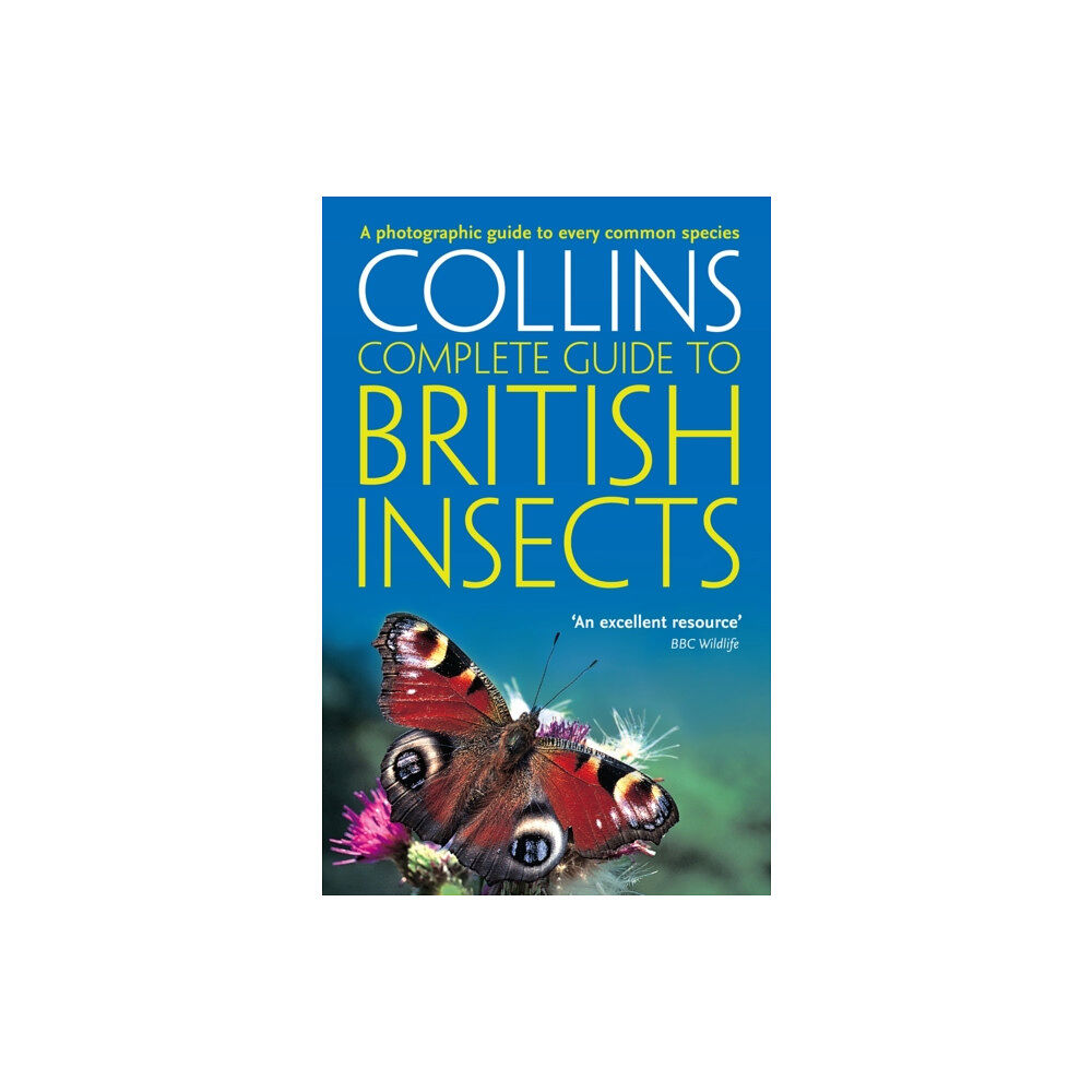 HarperCollins Publishers British Insects (häftad, eng)