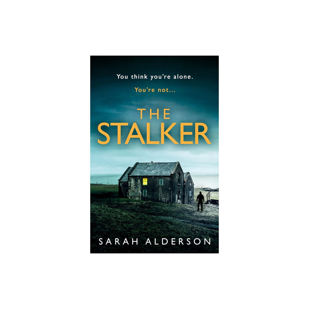 HarperCollins Publishers The Stalker (häftad, eng)