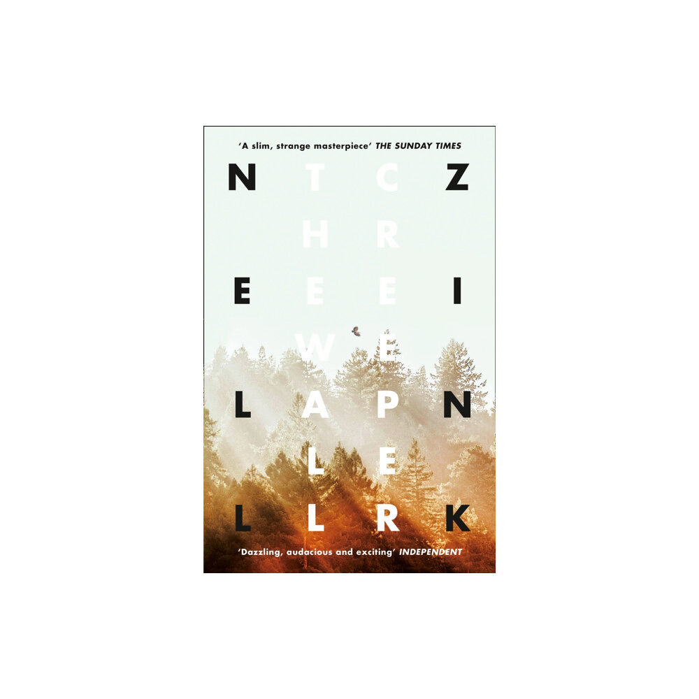 HarperCollins Publishers The Wallcreeper (häftad, eng)