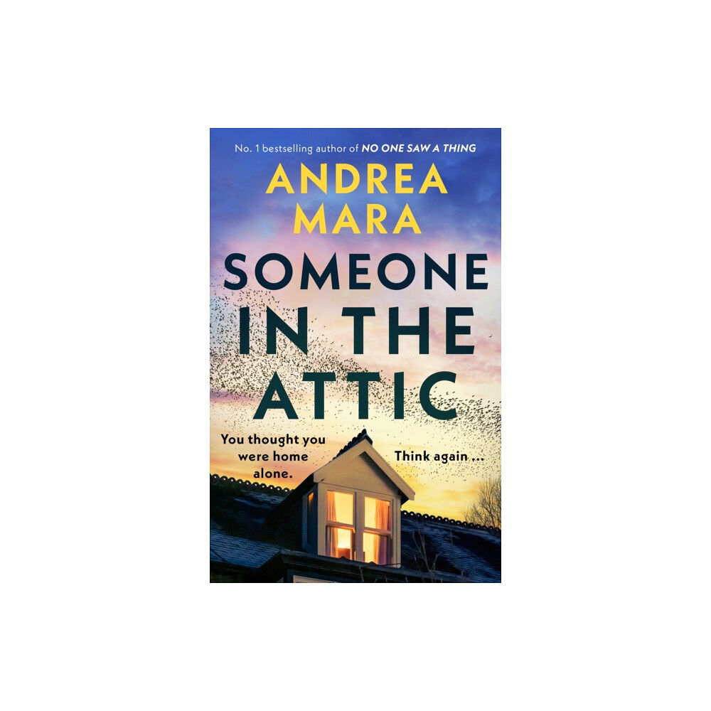 Transworld publishers ltd Someone in the Attic (inbunden, eng)