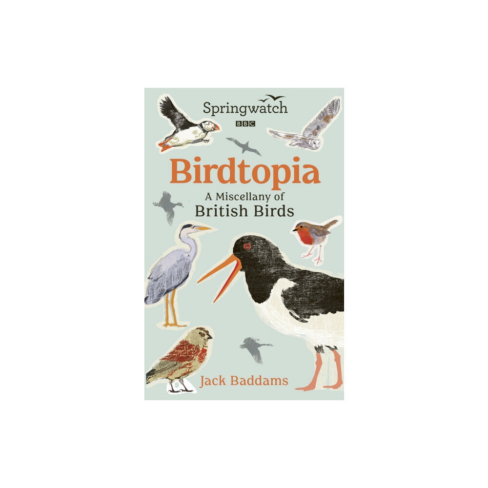 Ebury Publishing Springwatch: Birdtopia (inbunden, eng)