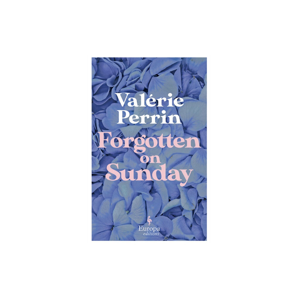 Europa Editions (UK) Ltd Forgotten on Sunday (häftad, eng)