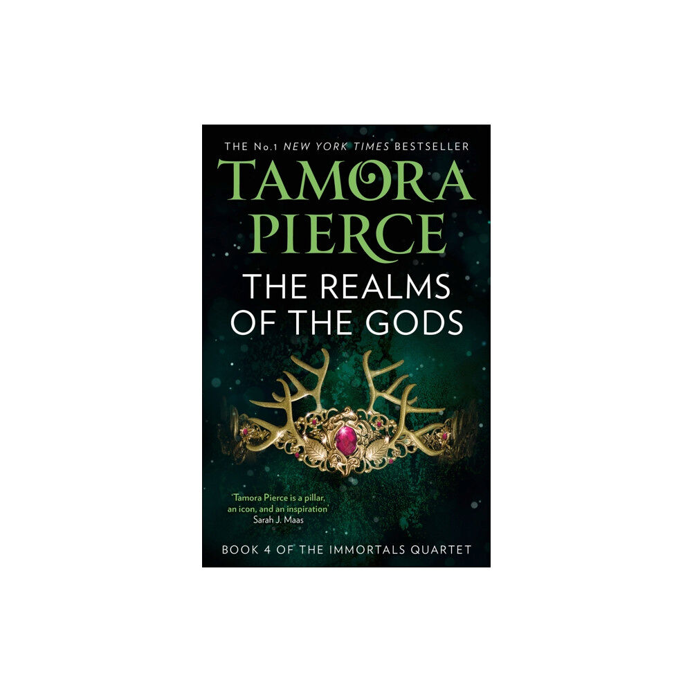 HarperCollins Publishers The Realms of the Gods (häftad, eng)