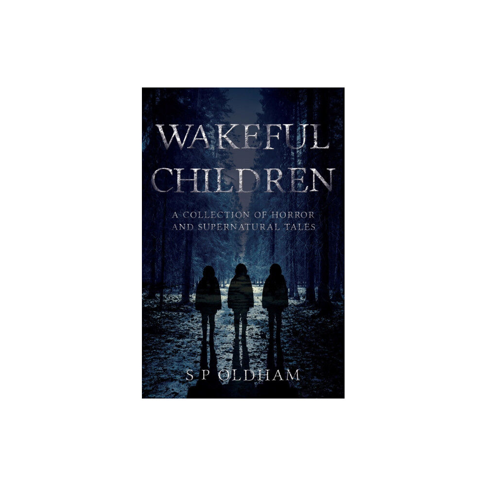 Troubador Publishing Wakeful Children (häftad, eng)