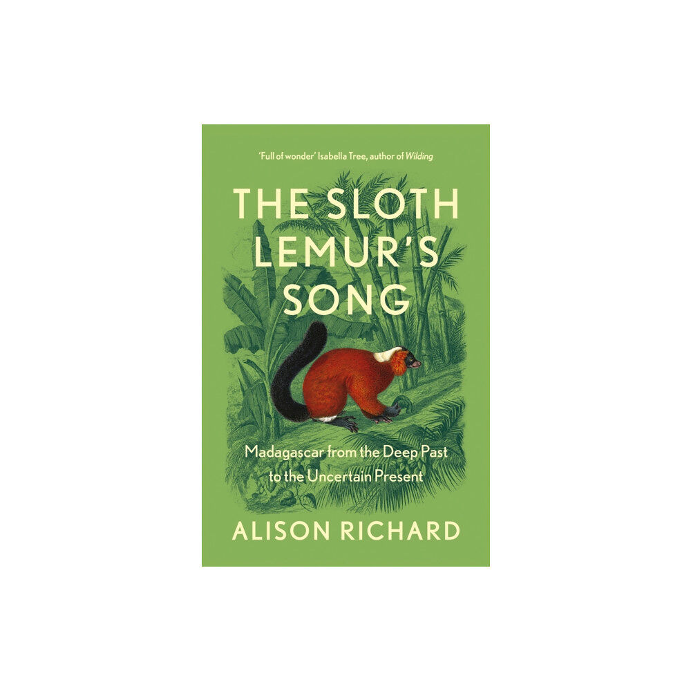 HarperCollins Publishers The Sloth Lemur’s Song (häftad, eng)