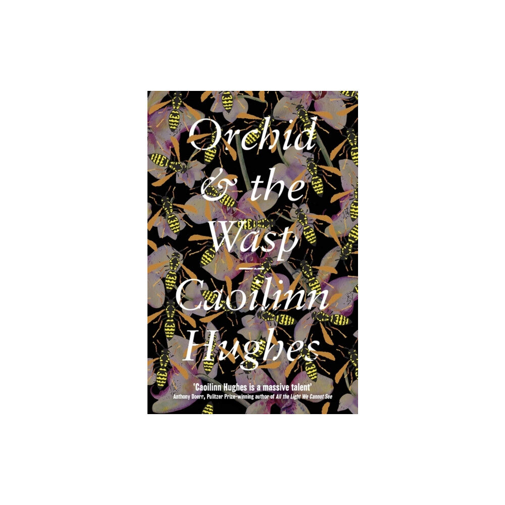 Oneworld Publications Orchid & the Wasp (häftad, eng)