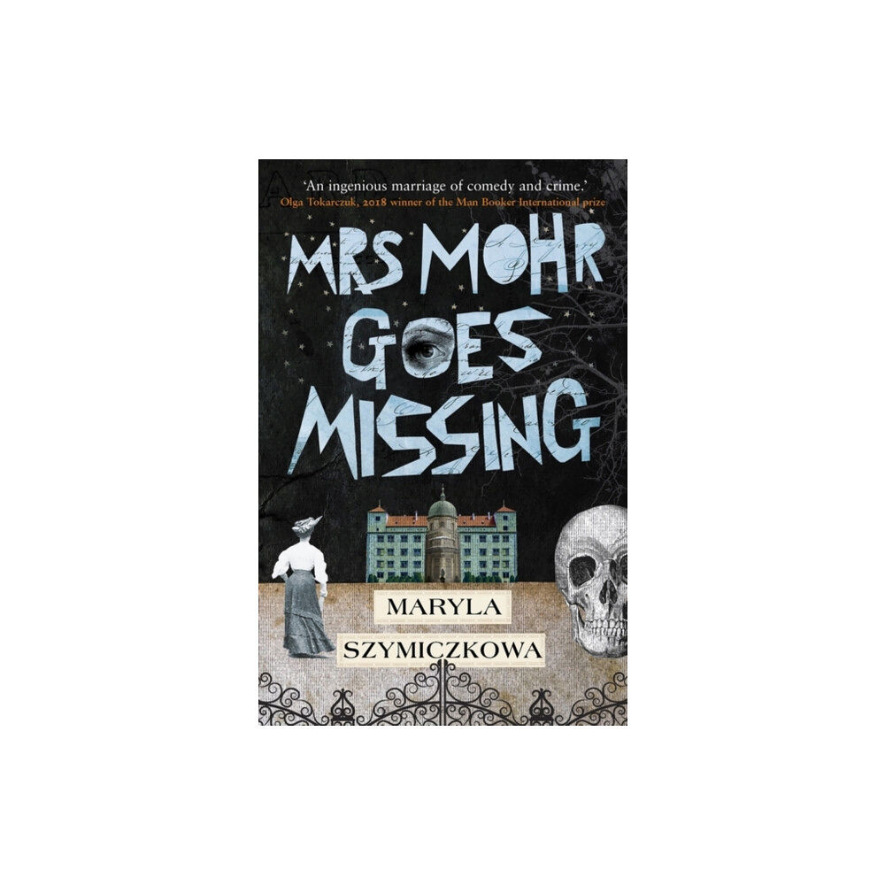 Oneworld Publications Mrs Mohr Goes Missing (häftad, eng)