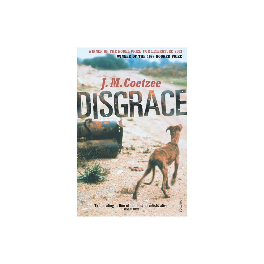 Vintage Publishing Disgrace (häftad, eng)