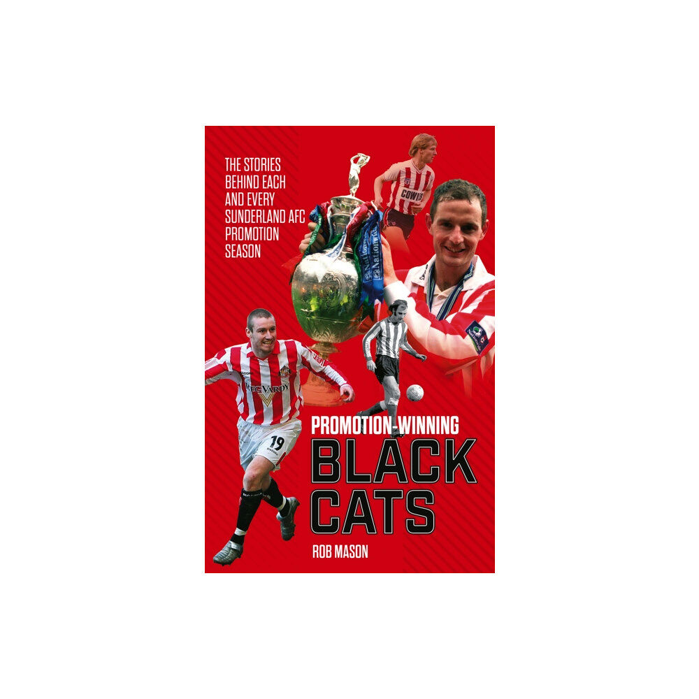 Pitch Publishing Ltd Promotion Winning Black Cats (inbunden, eng)