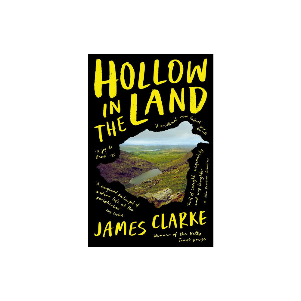 Profile Books Ltd Hollow in the Land (häftad, eng)