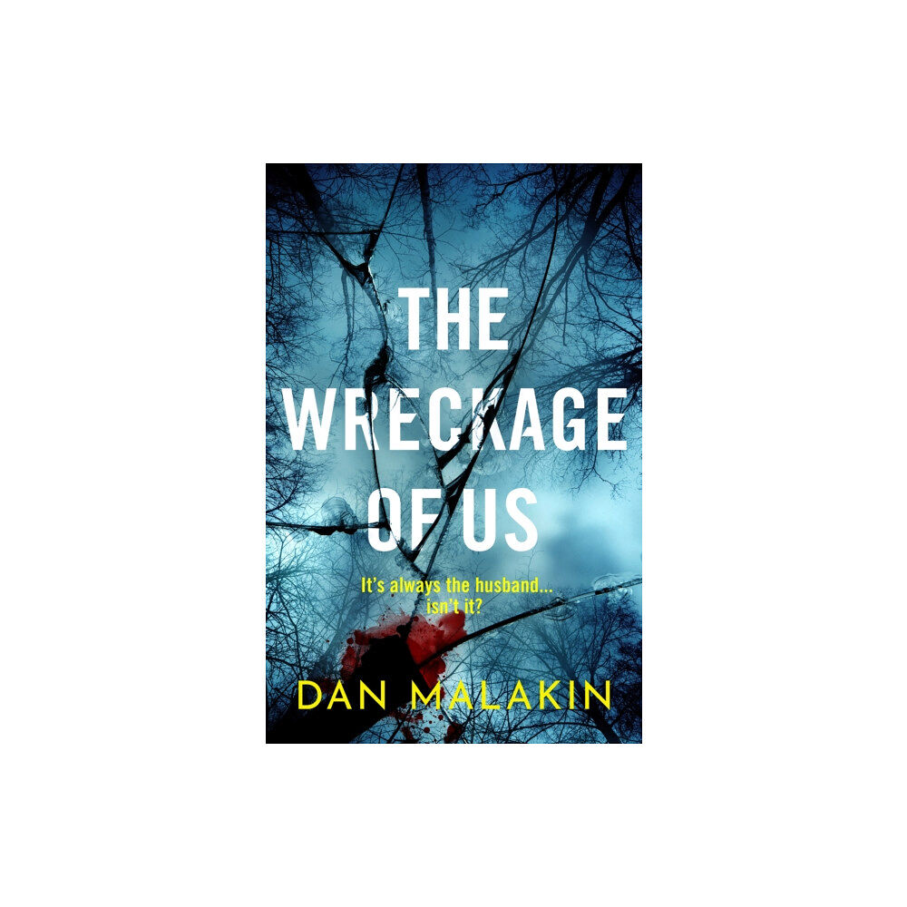 Profile Books Ltd The Wreckage of Us (inbunden, eng)