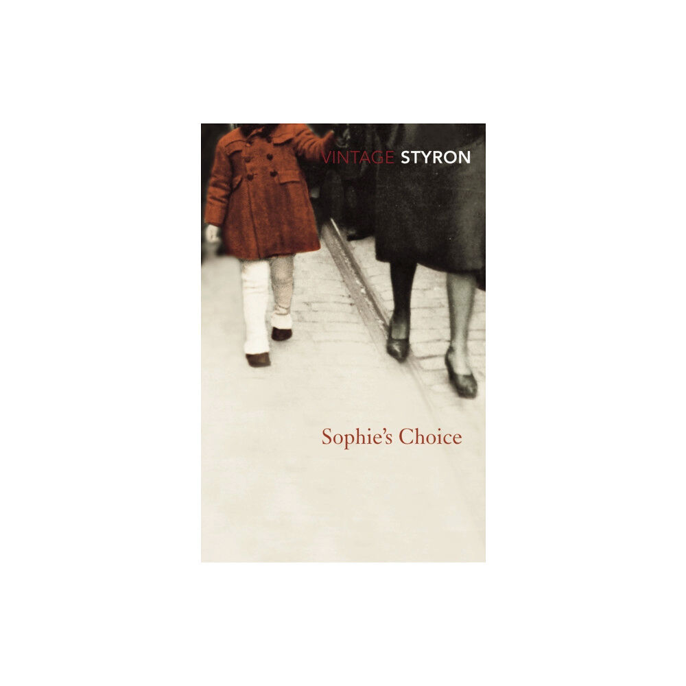 Vintage Publishing Sophie's Choice (häftad, eng)