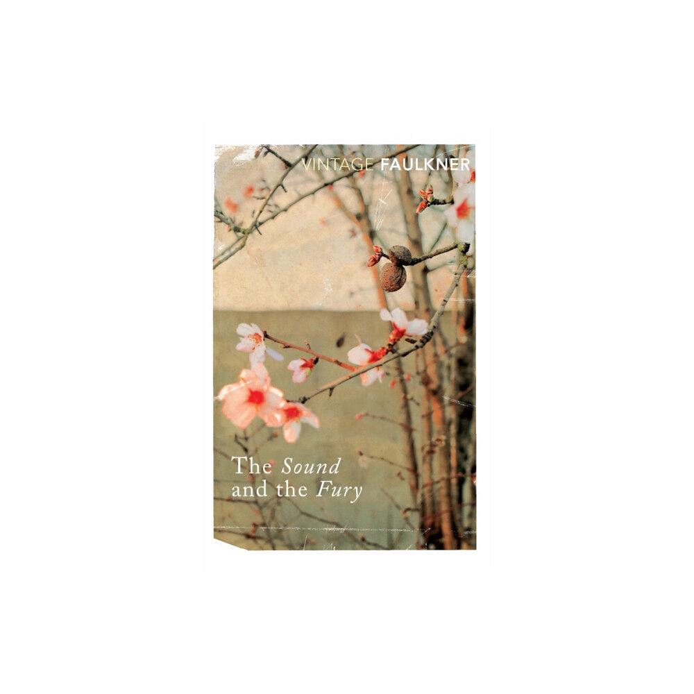 Vintage Publishing The Sound and the Fury (häftad, eng)
