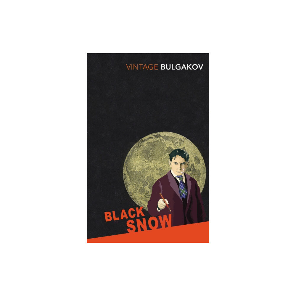 Vintage Publishing Black Snow (häftad, eng)