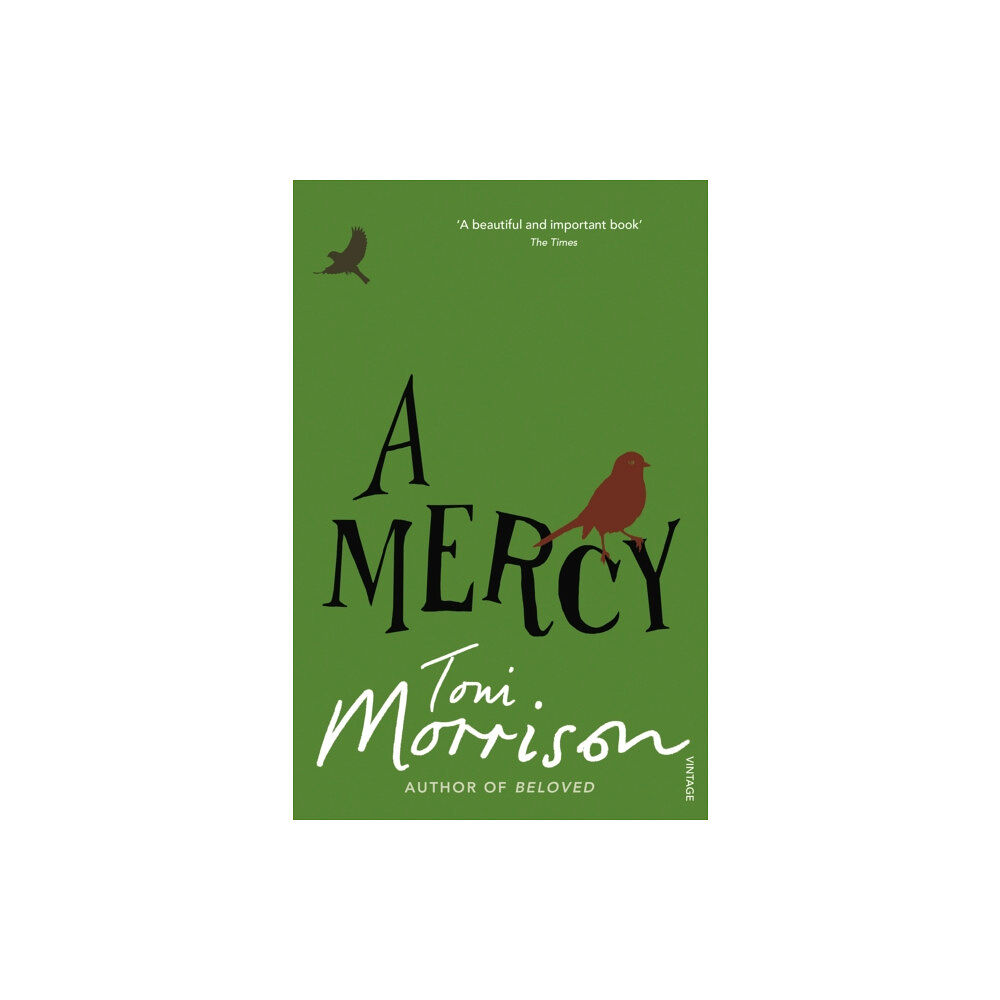 Vintage Publishing A Mercy (häftad, eng)