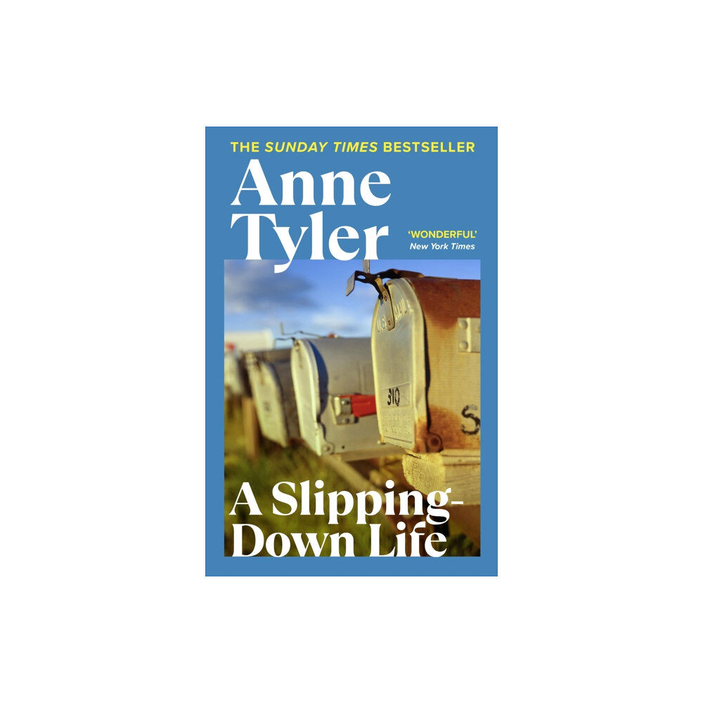 Vintage Publishing A Slipping Down Life (häftad, eng)