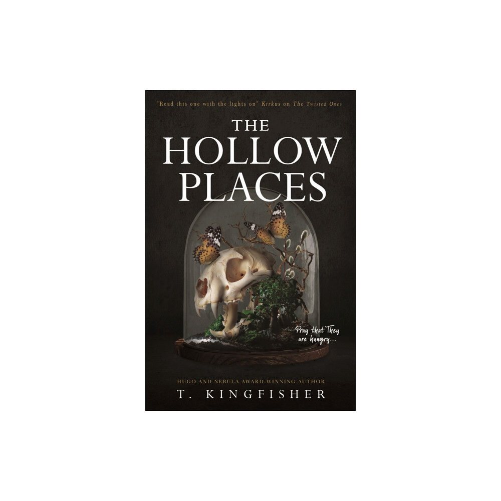 Titan Books Ltd The Hollow Places (häftad, eng)