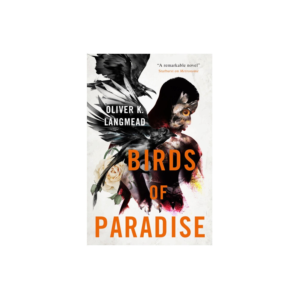 Titan Books Ltd Birds of Paradise (häftad, eng)