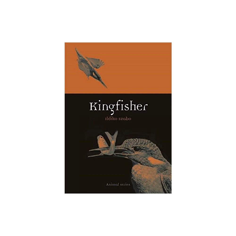 Reaktion Books Kingfisher (häftad, eng)