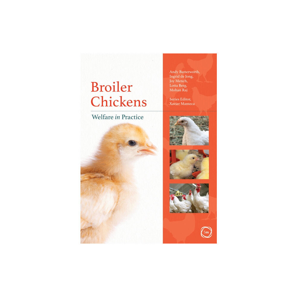 5M Books Ltd Broiler Chickens Welfare in Practice (häftad, eng)