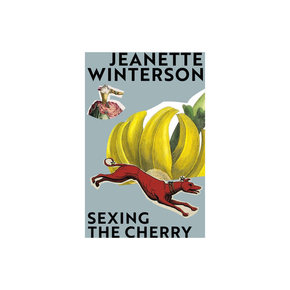 Vintage Publishing Sexing the Cherry (häftad, eng)