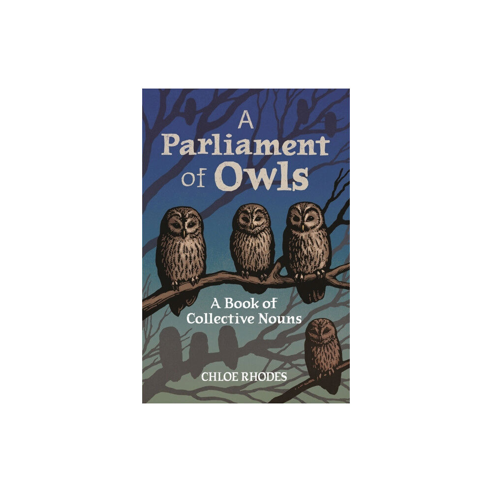 Michael O'Mara Books Ltd A Parliament of Owls (inbunden, eng)