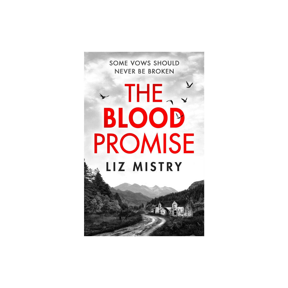 HarperCollins Publishers The Blood Promise (häftad, eng)