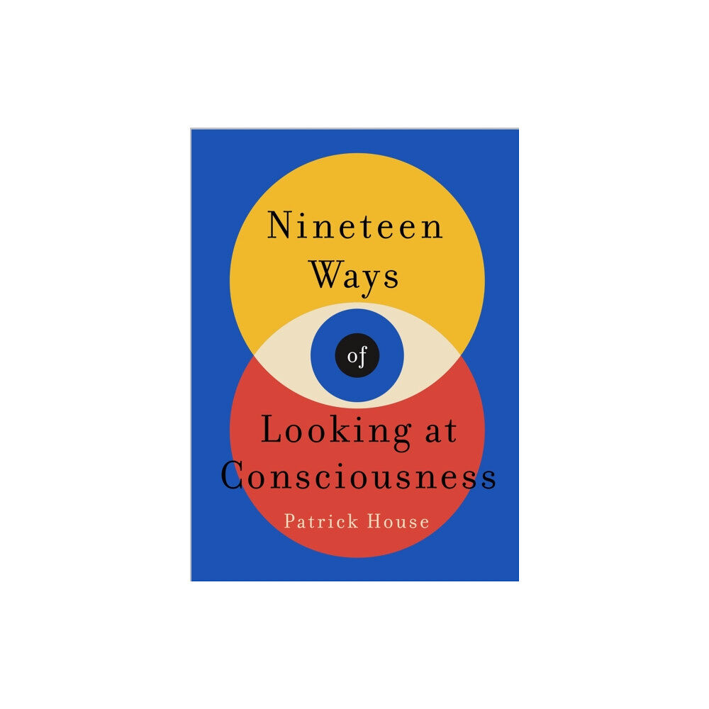 Headline Publishing Group Nineteen Ways of Looking at Consciousness (inbunden, eng)