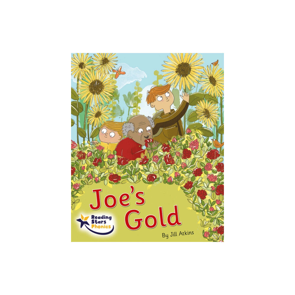 Ransom Publishing Joe's Gold (häftad, eng)